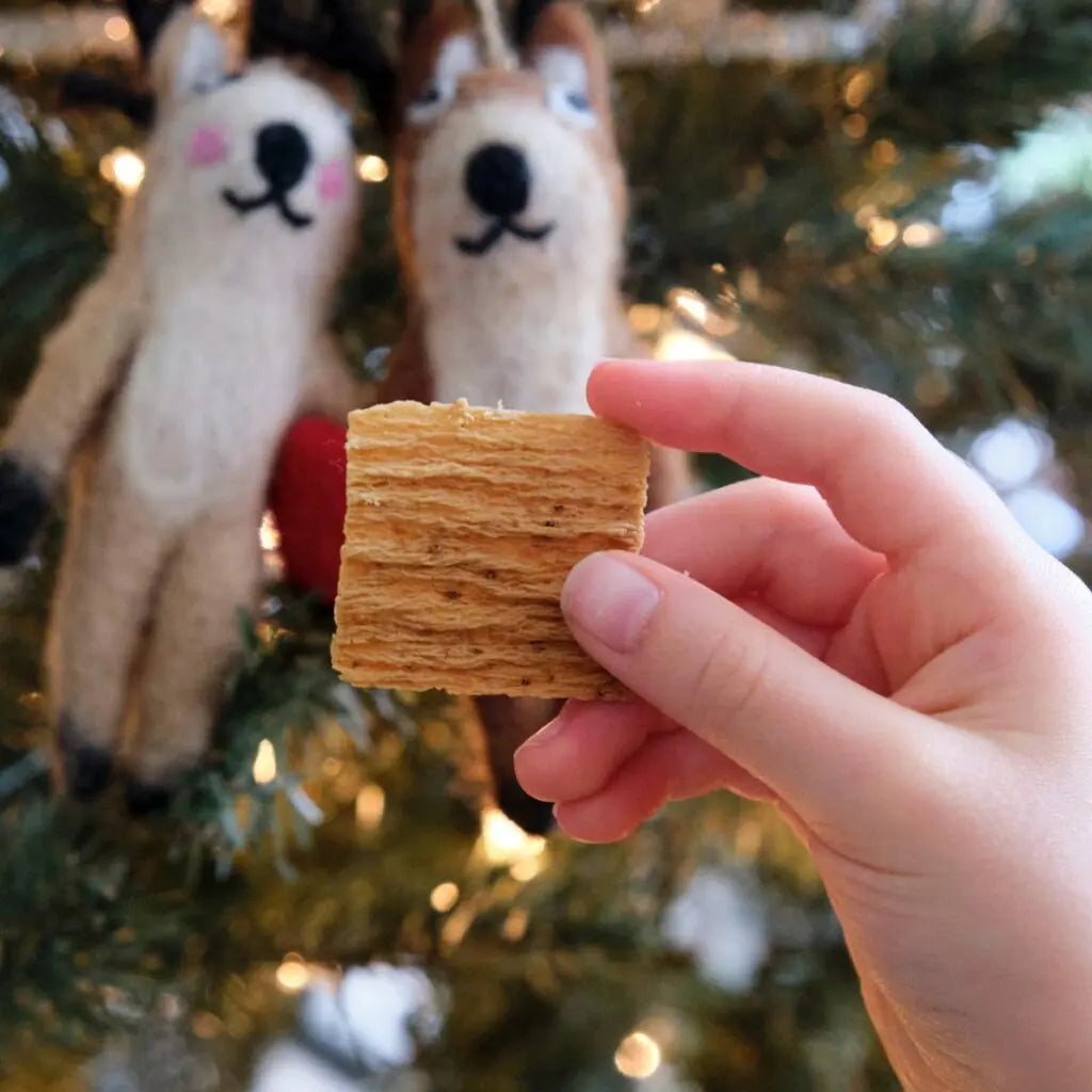 Kid is holding a TASU chip on Christmas