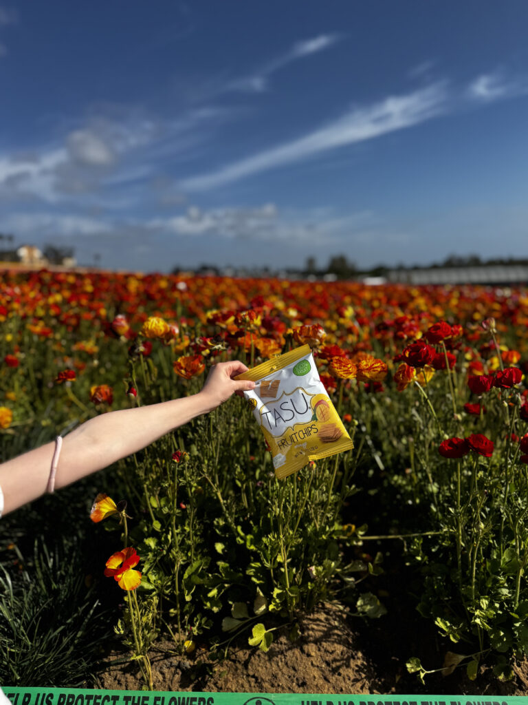 TASU Fruit Chips in a summer setting