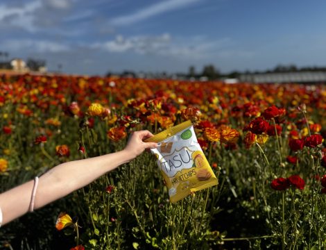 TASU Fruit Chips in a summer setting