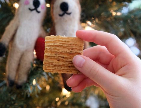 foto holiday crunch blog